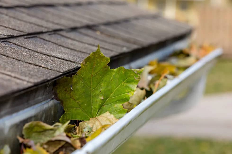Gutter cleaning and installation services in Carteret County